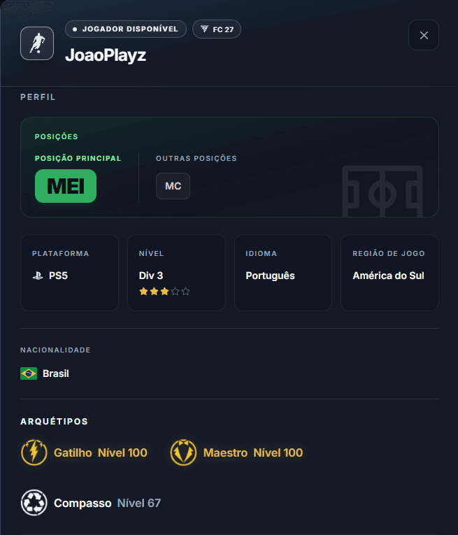 Parte de cima do modal de detalhes mostrando posições, plataforma, nível, idioma e região
